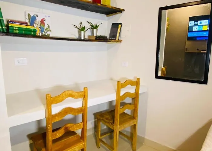Studio Terra Nova